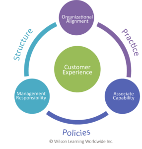 wilson learning customer experience map