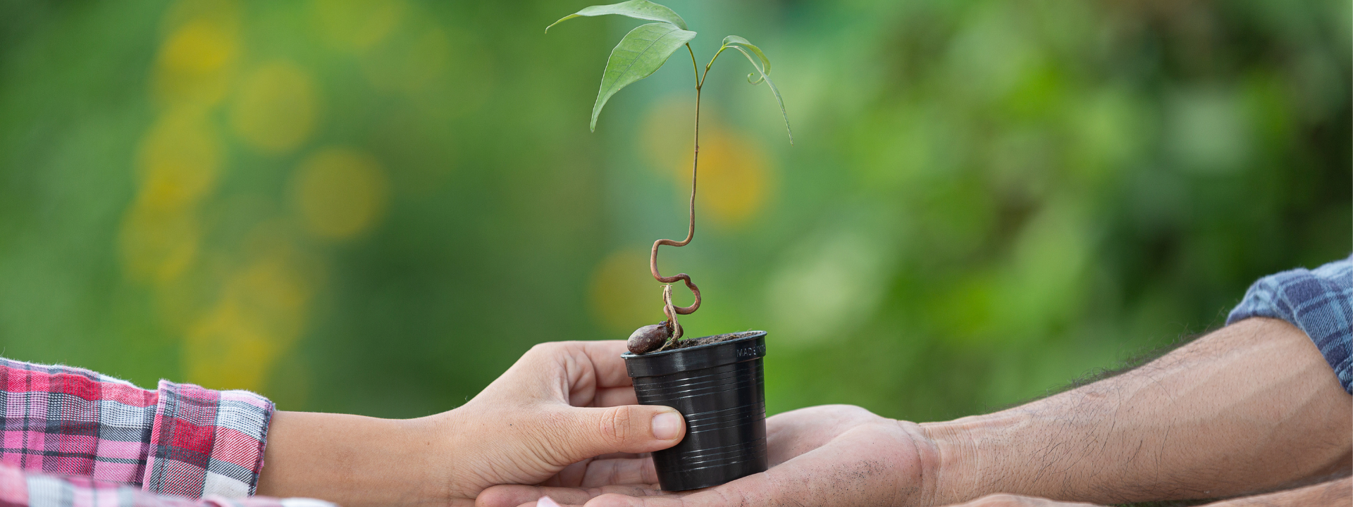 This US-Based Environmental Services Firm Enhances Sales Performance Through Negotiation Skills